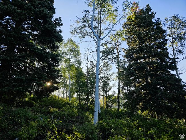 View of landscape | Image 18