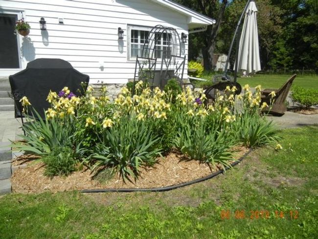 11212 W River Road, House other with 4 bedrooms, 3 bathrooms and null parking in Champlin MN | Image 52