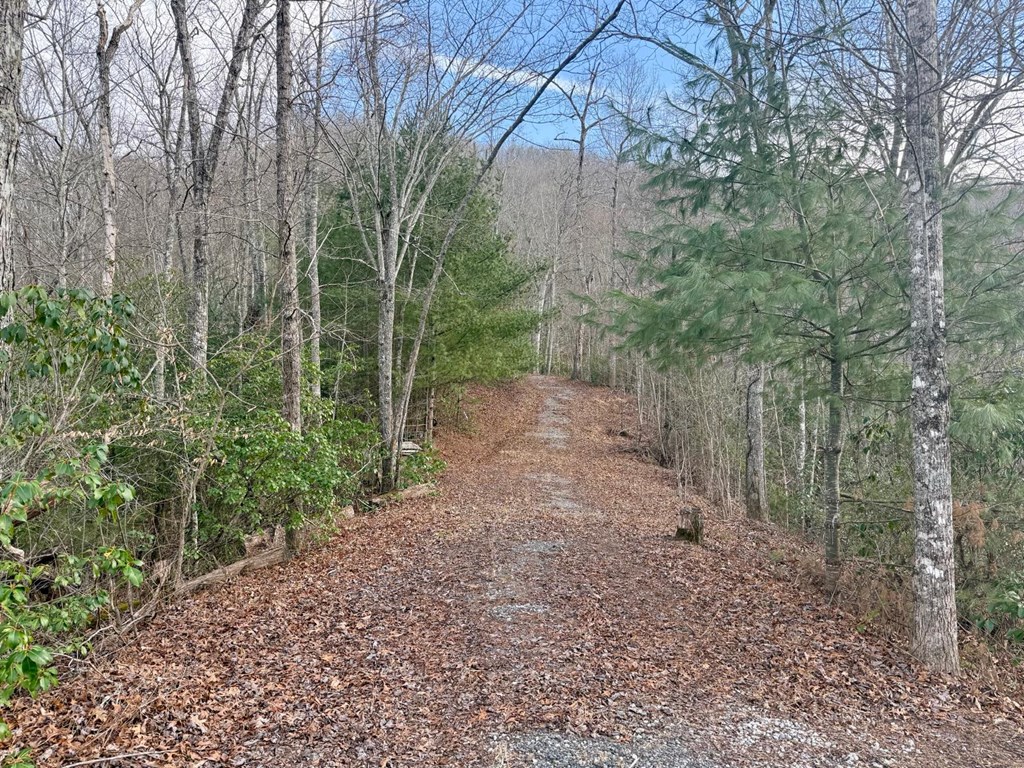 Land in Franklin 3