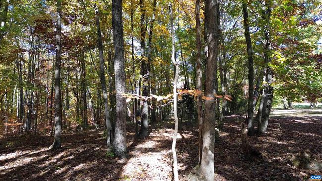 1367 S Constitution Rte, House other with 4 bedrooms, 1 bathrooms and null parking in DILLWYN VA | Image 21