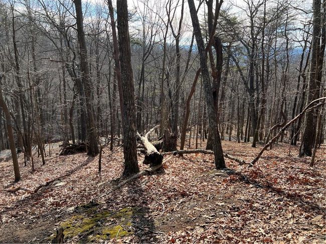 4528 Sassafras Mountain Trl, Home with 0 bedrooms, 0 bathrooms and null parking in Jasper GA | Image 7