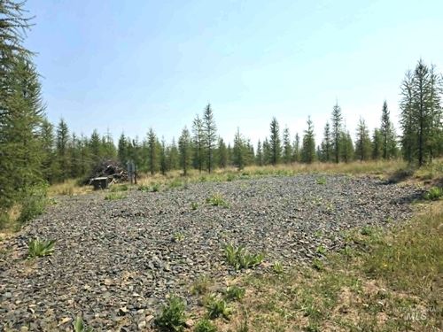 333 Wildwood Dr, Orofino, ID, 83544 | Card Image