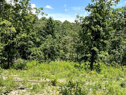 Lot 45 Private Road Ridge Haven, Mammoth Spring, AR, 72554 | Card Image