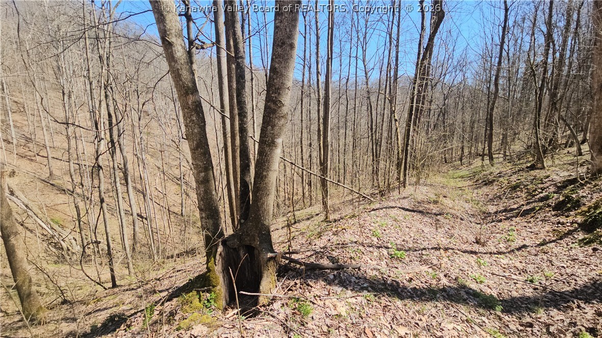 Land in Clendenin 4
