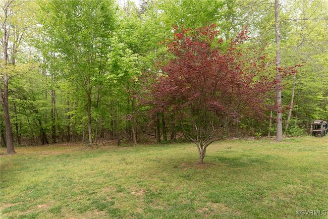 View of yard with a forest view | Image 45