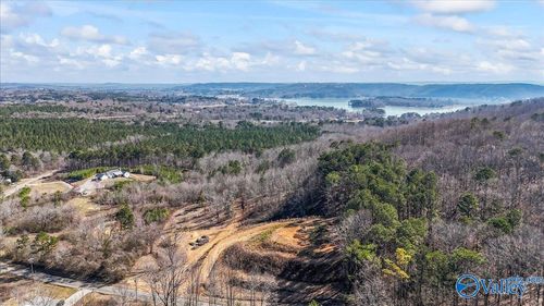 71 County Road 338, Crane Hill, AL, 35053 | Card Image