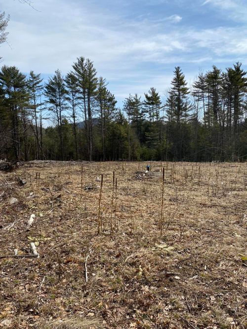 530 Fox Run Road Street, Lewis, NY, 12950 | Card Image