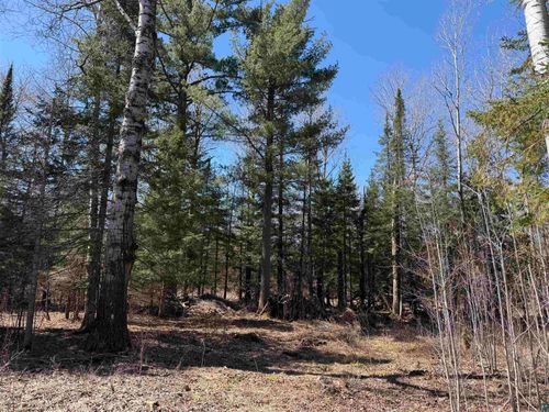 115 Marks Rd, Esko, MN, 55733 | Card Image