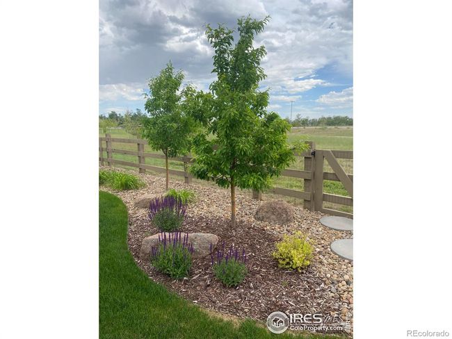 5573 Bristow Rd, House other with 4 bedrooms, 3 bathrooms and 3 parking in Timnath CO | Image 26