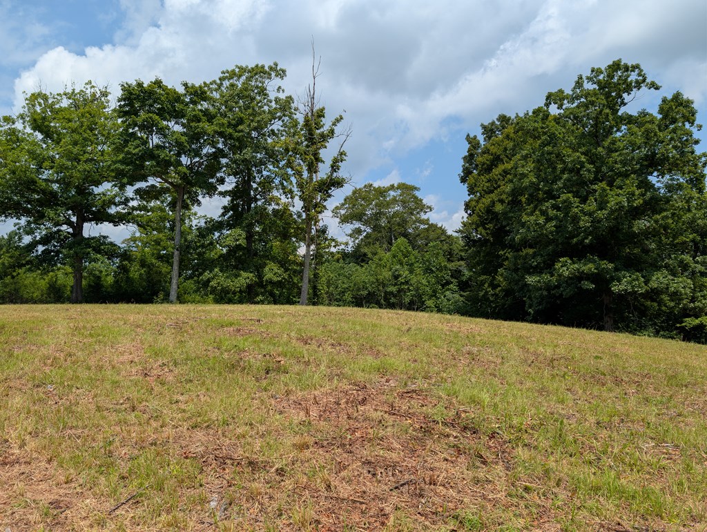 Land in Burkesville 3