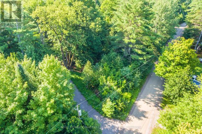 Lt 33 Benson Blvd, Home with 0 bedrooms, 0 bathrooms and null parking in Coboconk ON | Image 19