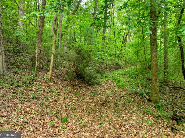 LTS 5, 6, 7 Mountain Springs Rd, Home with 0 bedrooms, 0 bathrooms and null parking in Ellijay GA | Image 16