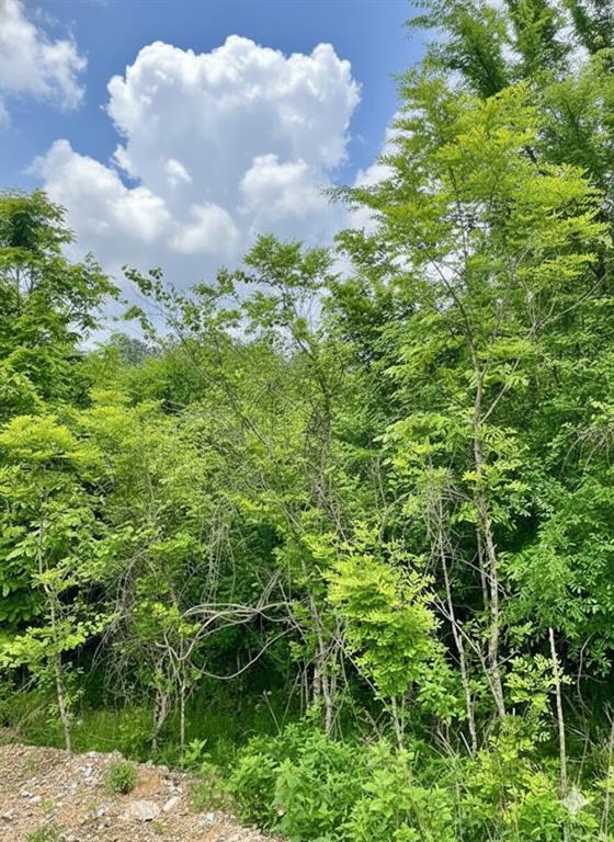 Land in Broken Bow 3