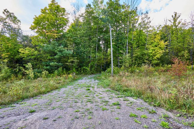 PART 2 County Rd 45, Home with 0 bedrooms, 0 bathrooms and null parking in Hastings ON | Image 5