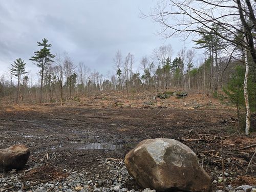 0 Neale Rd, Royalston, MA, 01368 | Card Image