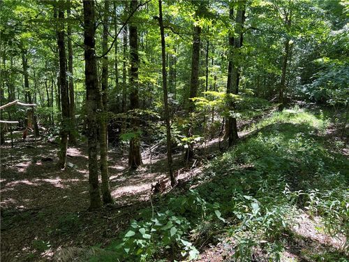 TBD Maple Branch Rd, West Jefferson, NC, 28694 | Card Image