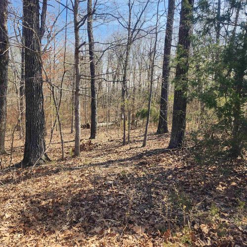 L-7, B-29 Miccosukee Circle, Cherokee Village, AR, 72529 | Card Image