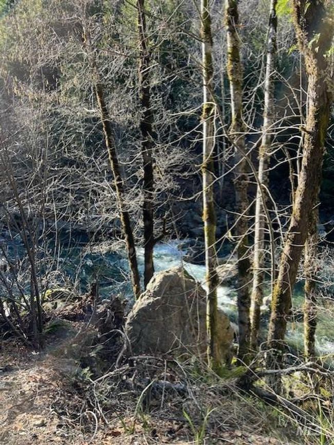 1 Highway 199 None, Home with 0 bedrooms, 0 bathrooms and null parking in Crescent City CA | Image 10