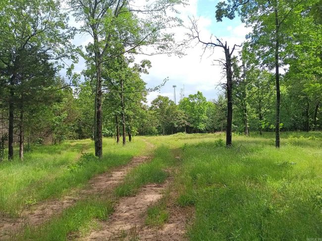 409 Russell Mountain Rd, Home with 0 bedrooms, 0 bathrooms and null parking in Bald Knob AR | Image 15