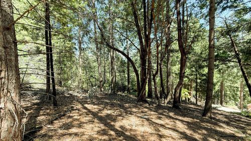18910 Circle View, Pioneer, CA, 95666 | Card Image