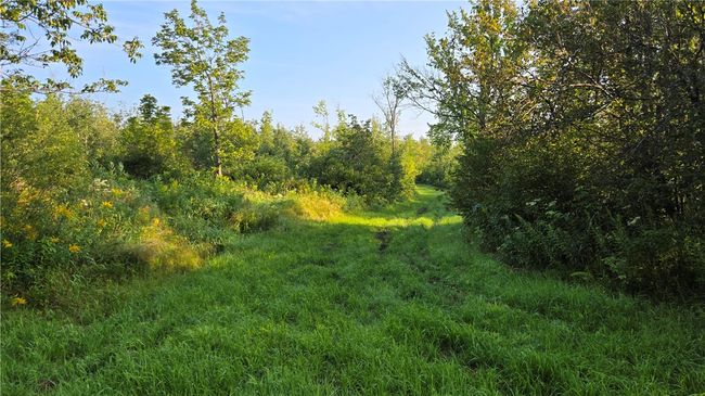 2984 N Weirgor Rd, House other with 4 bedrooms, 1 bathrooms and null parking in EXELAND WI | Image 24
