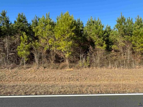 LOT 2A Whitfield Rd, Elko, GA, 31025 | Card Image