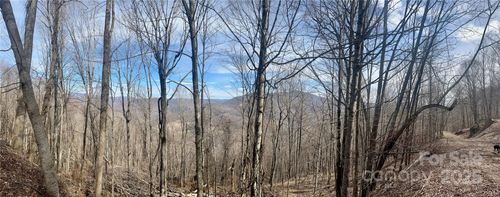 TBD Tyler Ln, Bakersville, NC, 28705 | Card Image