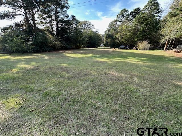 Land in Bullard 3