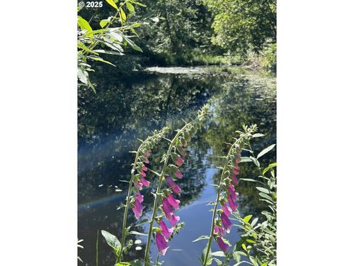 1 E Brightwood Loop Rd, Brightwood, OR, 97011 | Card Image