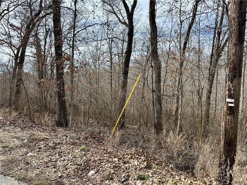 Lot 15 Billingsley Dr, Bella Vista, AR, 72715-8742 | Card Image