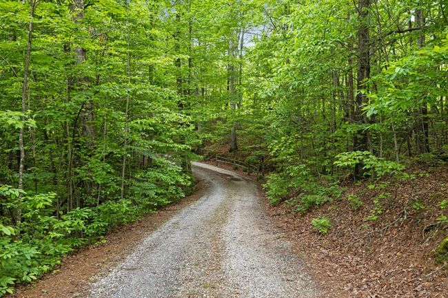 140 Croft Chapel Rd, Home with 3 bedrooms, 2 bathrooms and 2 parking in Turtletown TN | Image 39