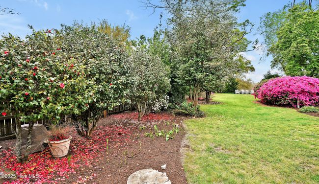 APT-1 - 416 S Front St, Condo with 0 bedrooms, 1 bathrooms and null parking in Wilmington NC | Image 39