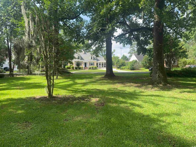 View of grassy yard | Image 37