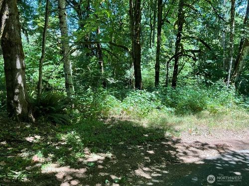 0 Lot 13 E Peyton Pl, Shelton, WA, 98584 | Card Image