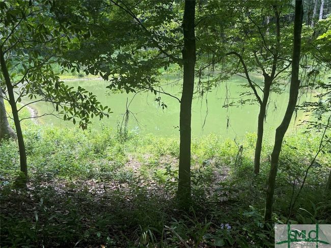 pond area | Image 31