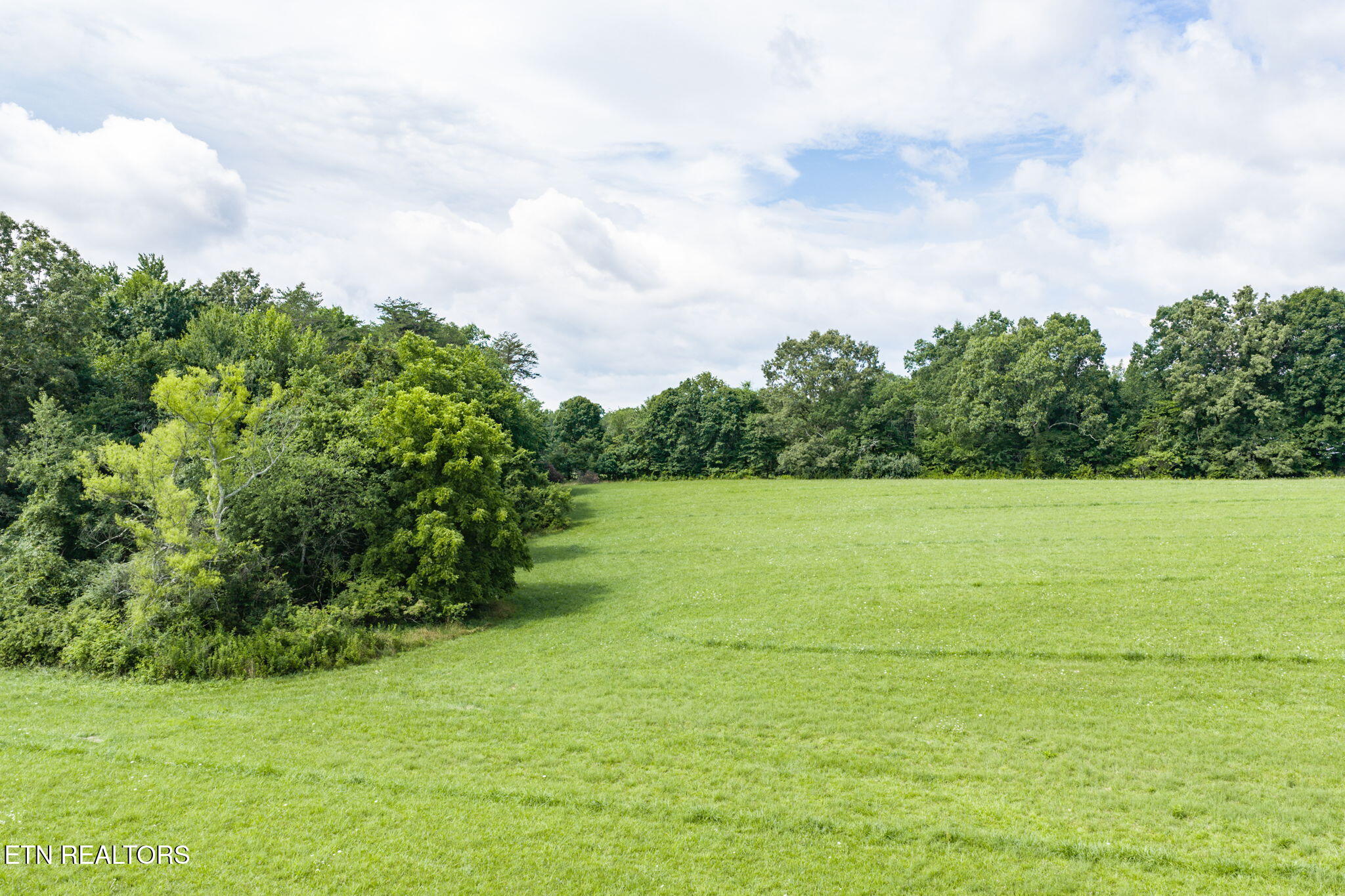 Land in Crossville 3