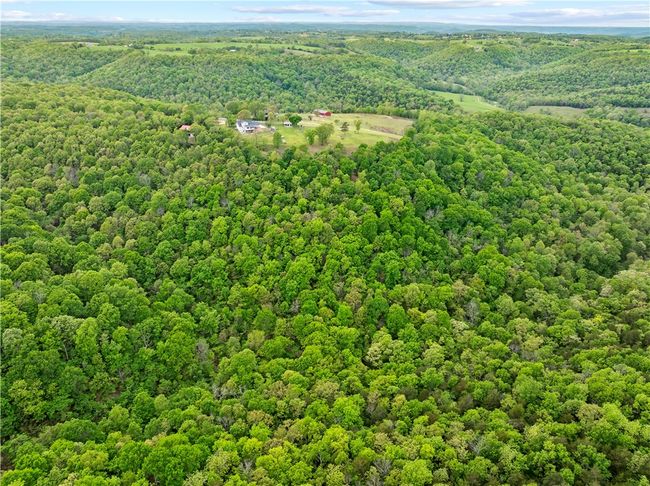 10908 Pecks Dr, House other with 4 bedrooms, 3 bathrooms and null parking in Harrison AR | Image 41