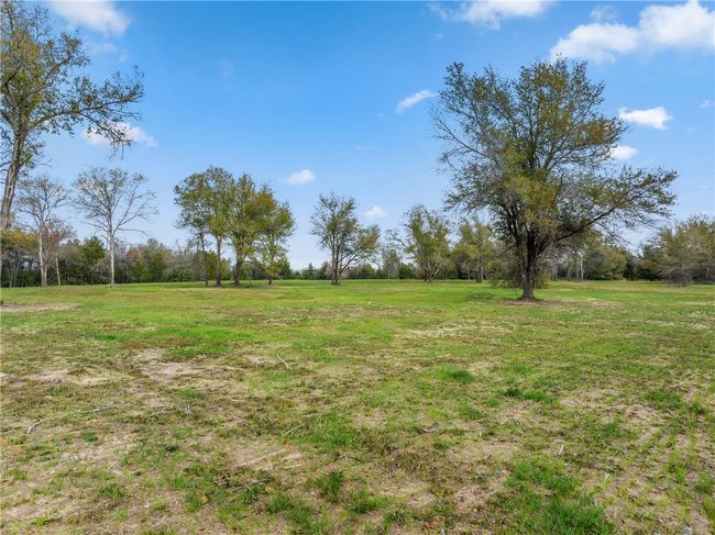 View of yard with a rural view | Image 5