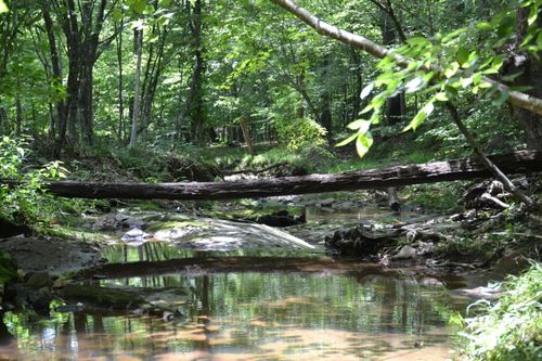 469 Tall Tree Rd, Wirtz, VA, 24184-3551 | Card Image
