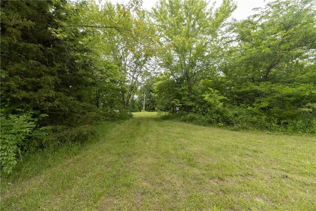 View of yard | Image 25