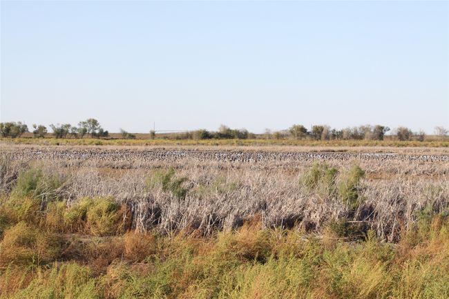 View of undeveloped land featuring rural landscape | Image 18