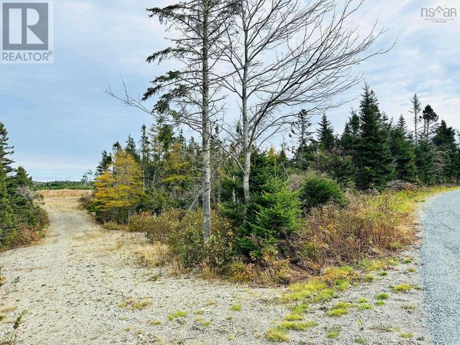 5 W Liscomb Point Rd, Home with 0 bedrooms, 0 bathrooms and null parking in Liscomb NS | Image 7