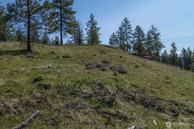 1622 Palmer Loop, Home with 0 bedrooms, 0 bathrooms and null parking in Chewelah WA | Image 6