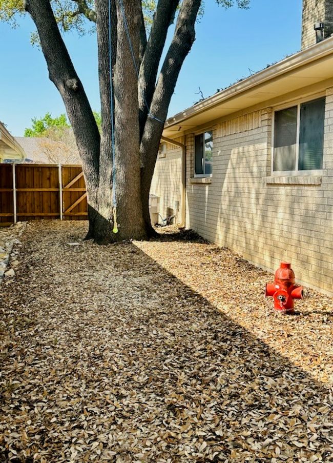 Dog run with bungee toy attached to tree | Image 30