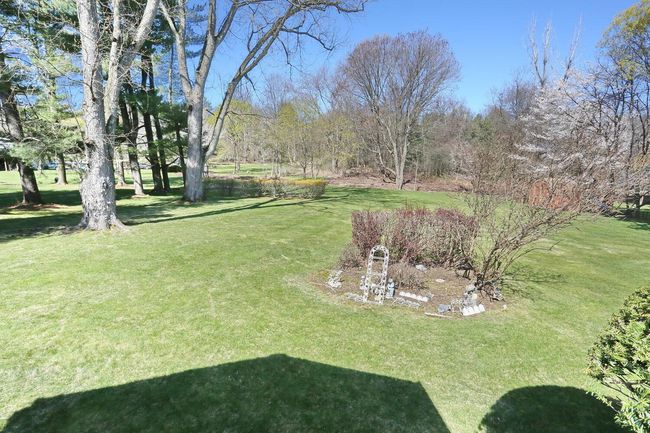 View of yard | Image 32
