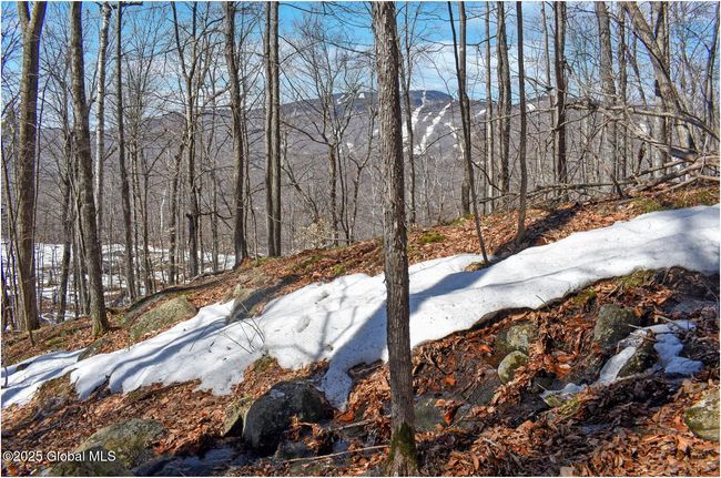 48 Durkin Rd, Home with 0 bedrooms, 0 bathrooms and null parking in North Creek NY | Image 47
