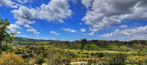 23 Prairie Grass, Irvine, CA, 92603-0403 | Card Image