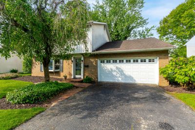 1901 Malvern Rd | Image 2