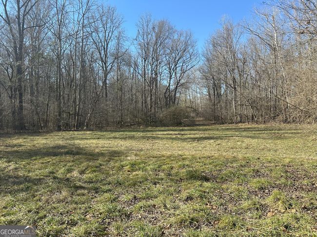 2018 Elberton Rd, Home with 0 bedrooms, 0 bathrooms and null parking in Carlton GA | Image 9