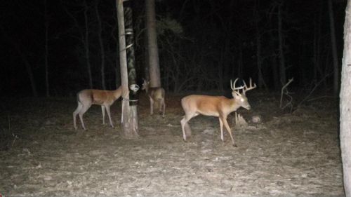 4079 S Fm 2869, Hawkins, TX, 75765 | Card Image